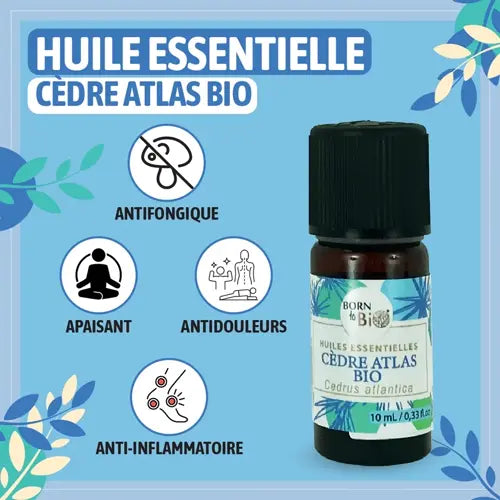 Bio Ätherisches Öl - Atlaszeder