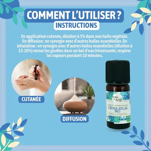 Bio Ätherisches Öl - Atlaszeder