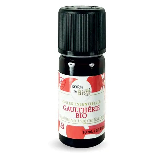 Bio Ätherisches Öl - Duft-Wintergrün