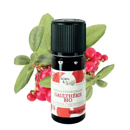 Bio Ätherisches Öl - Duft-Wintergrün