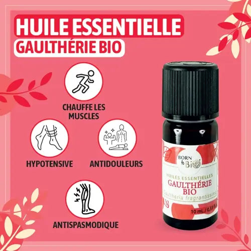 Bio Ätherisches Öl - Duft-Wintergrün