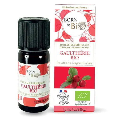 Bio Ätherisches Öl - Duft-Wintergrün
