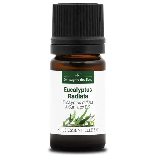 Bio Ätherisches Öl - Eukalyptus Radiata