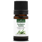 Bio Ätherisches Öl - Eukalyptus Radiata