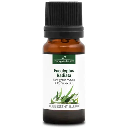 Bio Ätherisches Öl - Eukalyptus Radiata