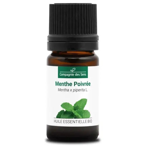 Bio Ätherisches Öl - Pfefferminze
