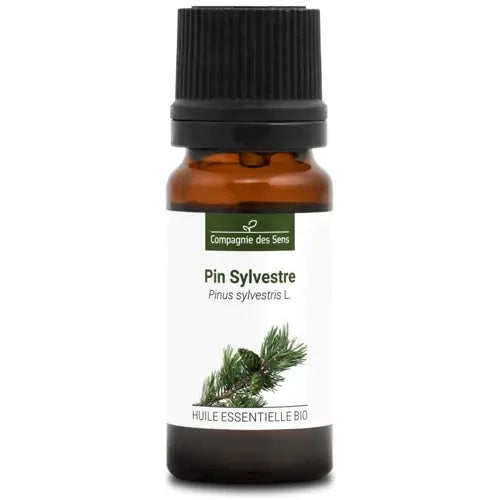 Bio Ätherisches Öl - Waldkiefer