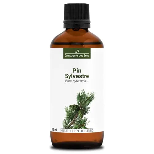Bio Ätherisches Öl - Waldkiefer
