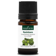 Bio Ätherisches Öl - Ravintsara