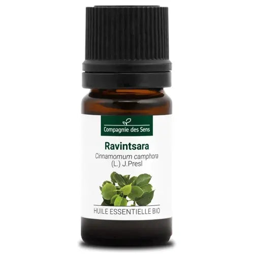 Bio Ätherisches Öl - Ravintsara