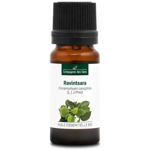 Bio Ätherisches Öl - Ravintsara