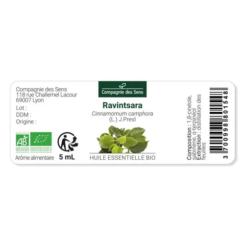 Bio Ätherisches Öl - Ravintsara