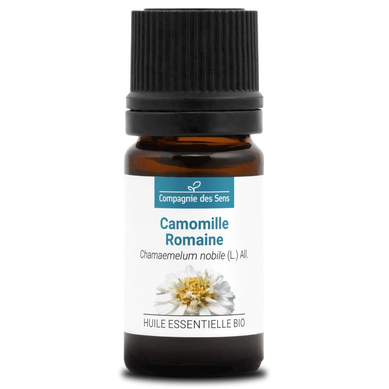 Bio Ätherisches Öl - Römische Kamille