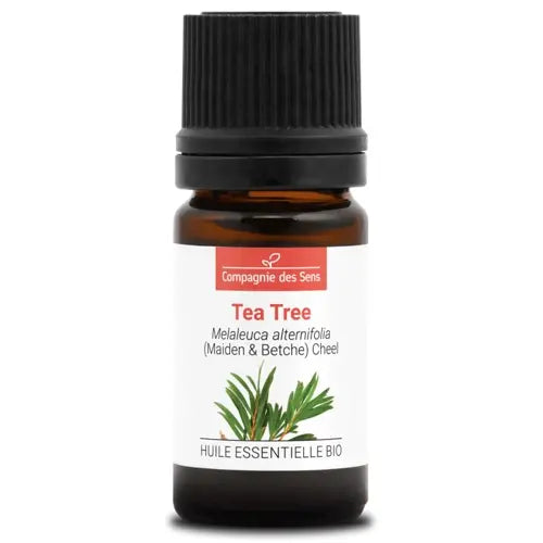 Bio Ätherisches Öl - Teebaum