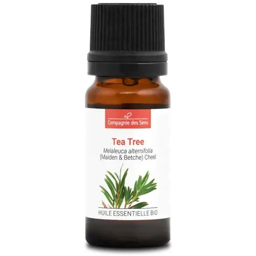 Bio Ätherisches Öl - Teebaum