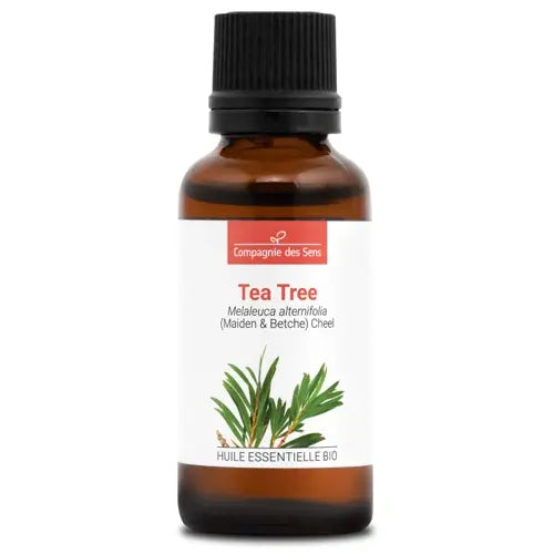 Bio Ätherisches Öl - Teebaum