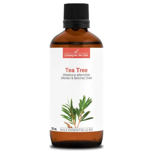 Bio Ätherisches Öl - Teebaum