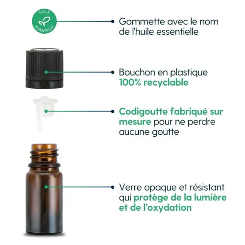 Bio Ätherisches Öl - Zirbelkiefer