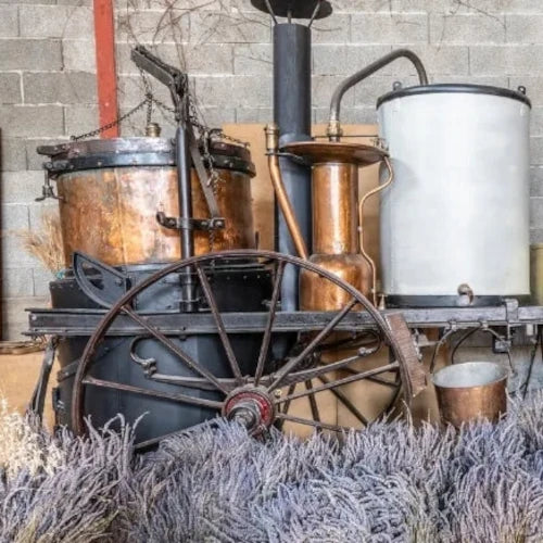 Bio Ätherisches Öl - Feiner Lavendel