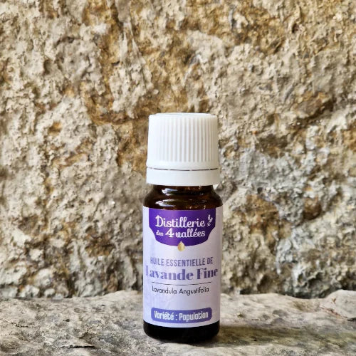 Bio Ätherisches Öl - Feiner Lavendel
