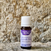 Bio Ätherisches Öl - Feiner Lavendel