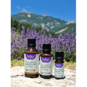 Organic Essential Oil - Silver Fir