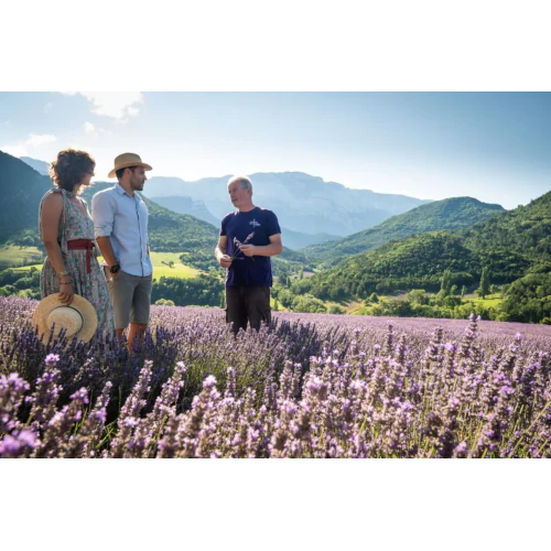 Bio Ätherisches Öl - Feiner Lavendel