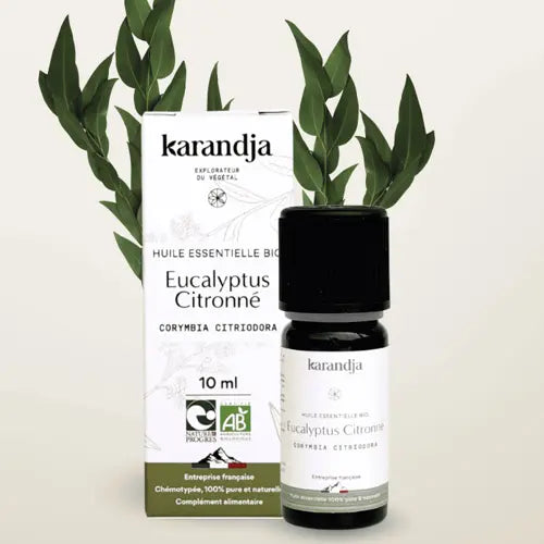Bio Ätherisches Öl - Zitronen Eukalyptus