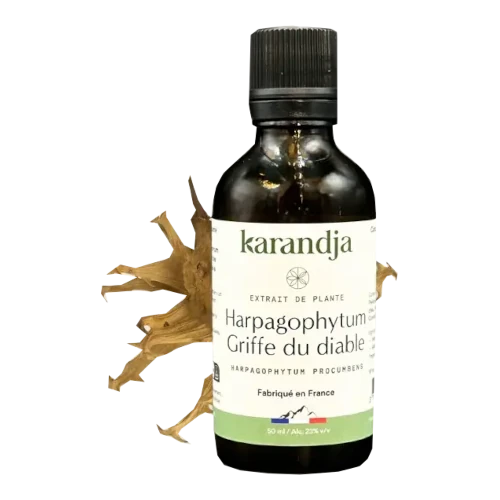 Bio Pflanzenextrakt - Harpagophytum