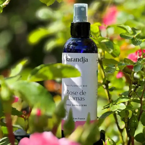 Bio Hydrolat - Damaszener Rose