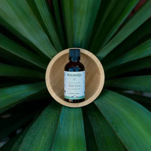 Bio Pflanzenextrakt - Aloe Vera