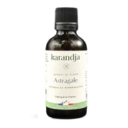 Organic Plant Extract - Astragalus