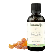 Bio Pflanzenextrakt - Boswellia