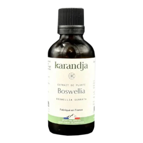 Bio Pflanzenextrakt - Boswellia