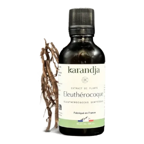 Bio Pflanzenextrakt - Eleutherococcus