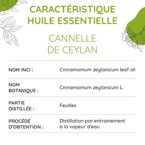 Bio Ätherisches Öl - Ceylonzimt (Blätter)