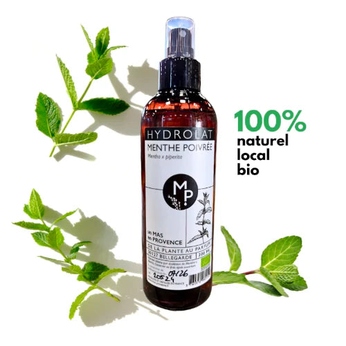 Bio Hydrolat - Pfefferminze