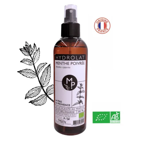 Organic Hydrolat - Peppermint