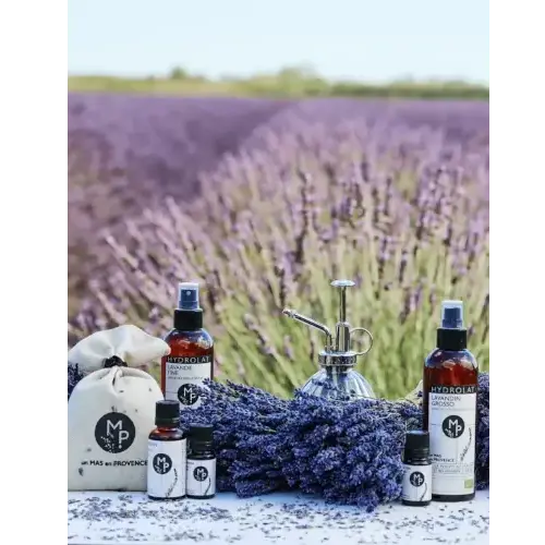 Bio Ätherisches Öl - Feiner Lavendel