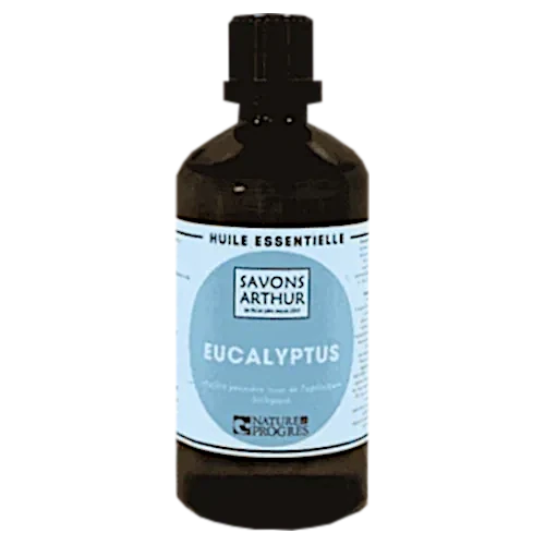 Bio Ätherisches Öl - Eucalyptus Globulus