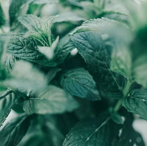 LaPeNu Organics