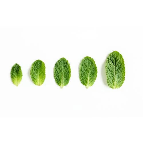 LaPeNu Organics