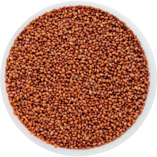 Bio Pflanzenöl - Camelinaöl (Nativ)