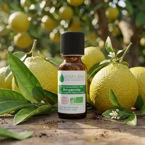 Organic Essential Oil - Bergamot