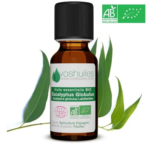 Bio Ätherisches Öl - Eukalyptus Globulus