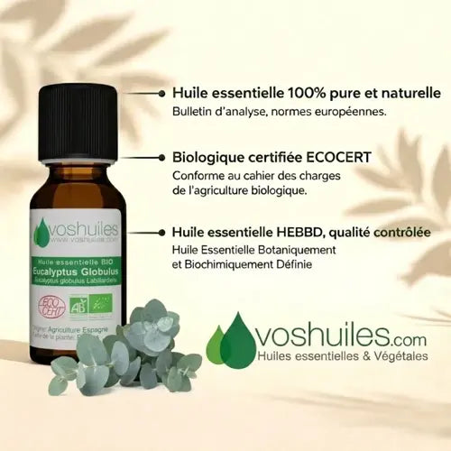 Organic Essential Oil - Eucalyptus Globulus
