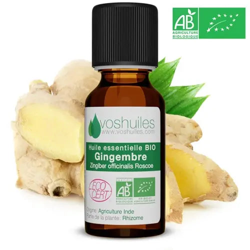 Bio Ätherisches Öl - Ingwer
