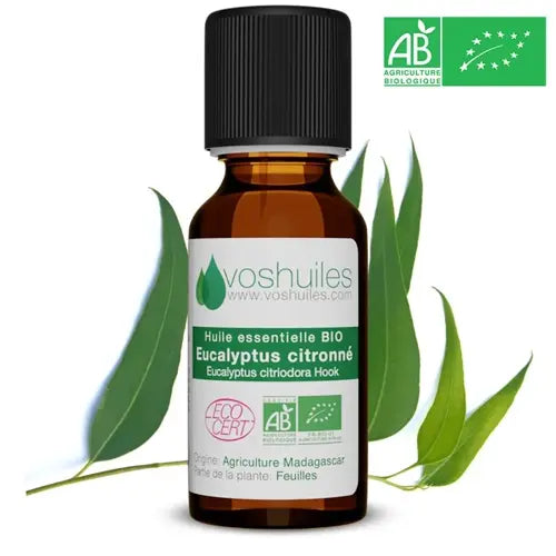 Bio Ätherisches Öl - Zitroneneukalyptus