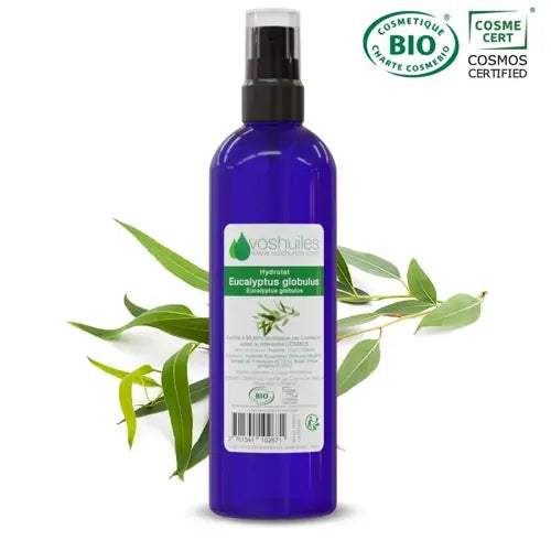 Bio Hydrolat - Eukalyptus Globulus