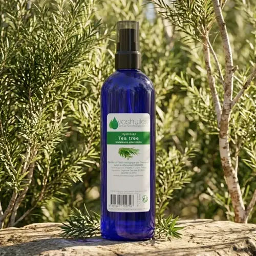 Organic Hydrolat - Tea Tree